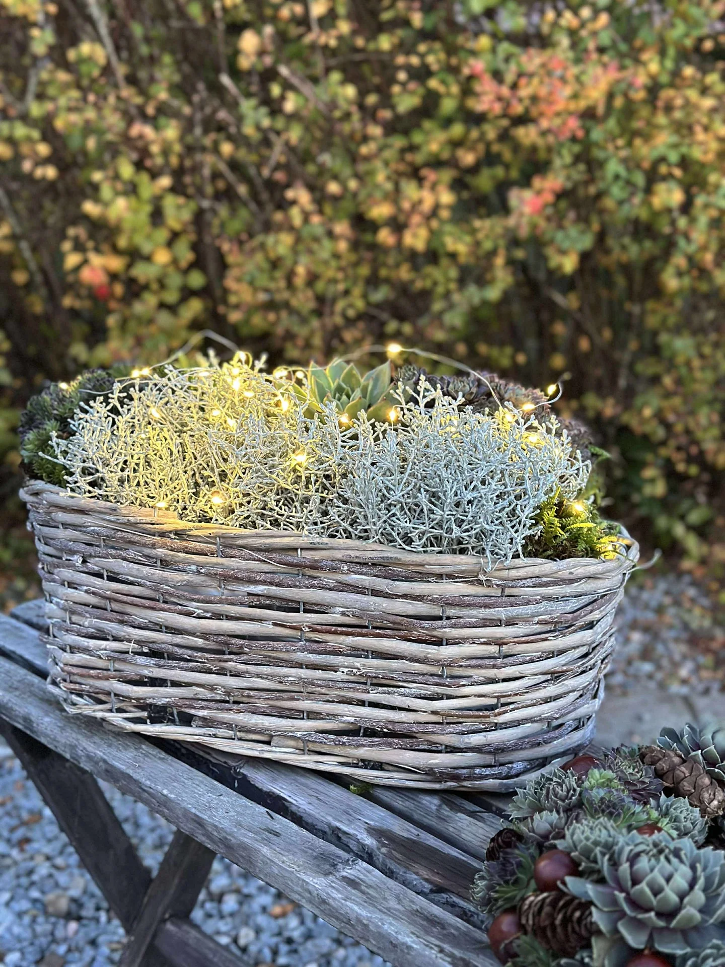 Vorschaubild 6