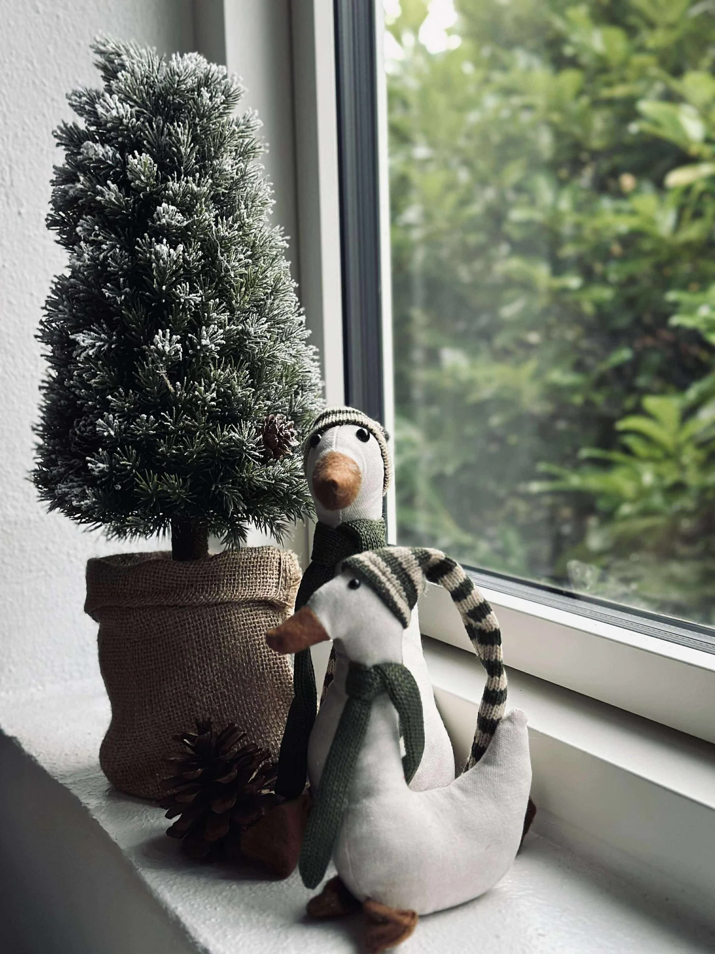 Vorschaubild 9