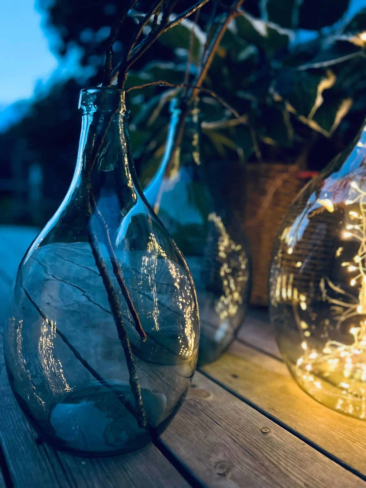 Vorschaubild 5