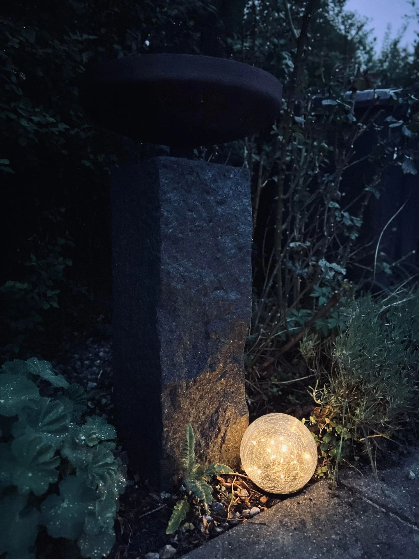 Vorschaubild 7