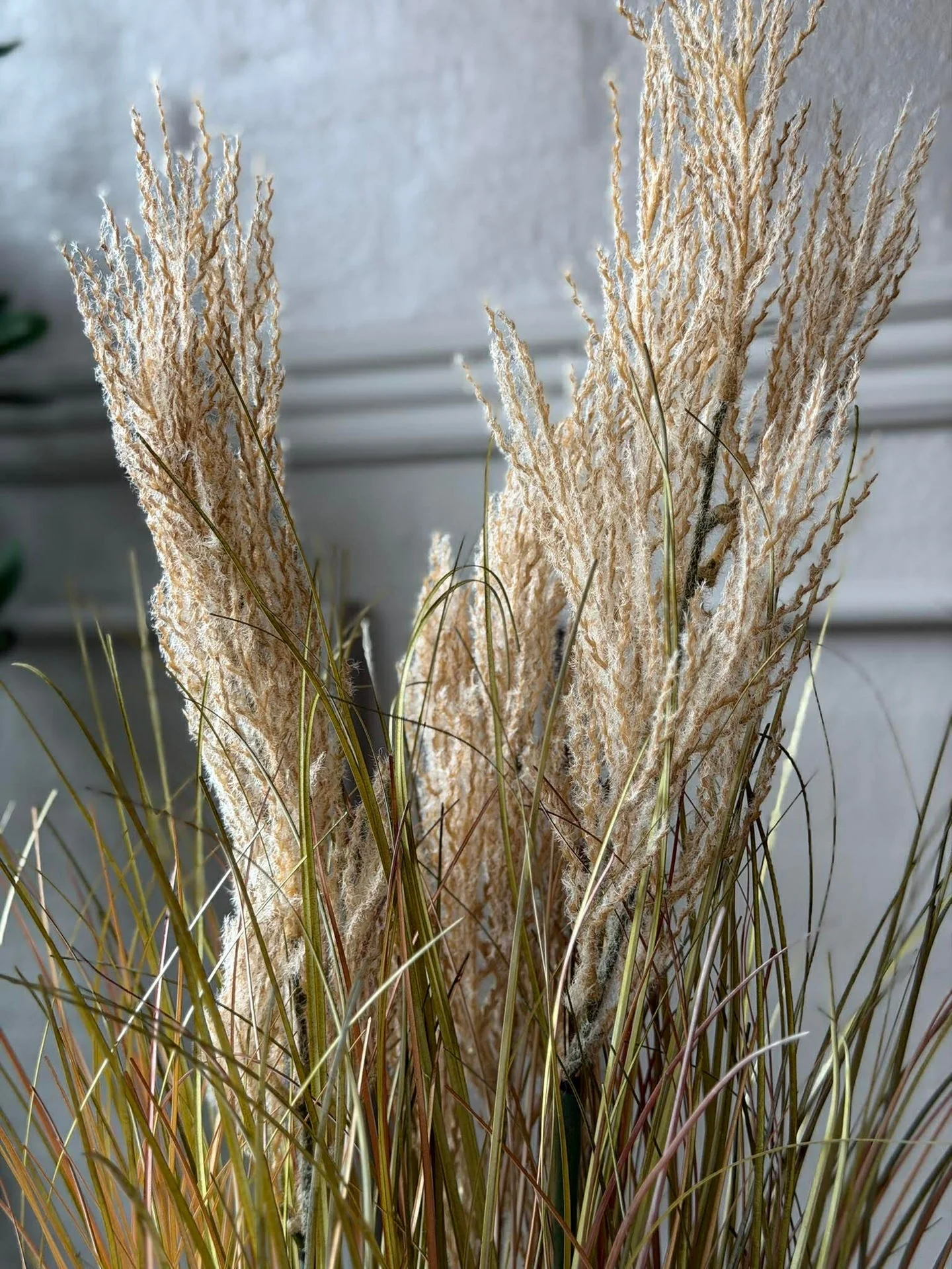 Vorschaubild 6