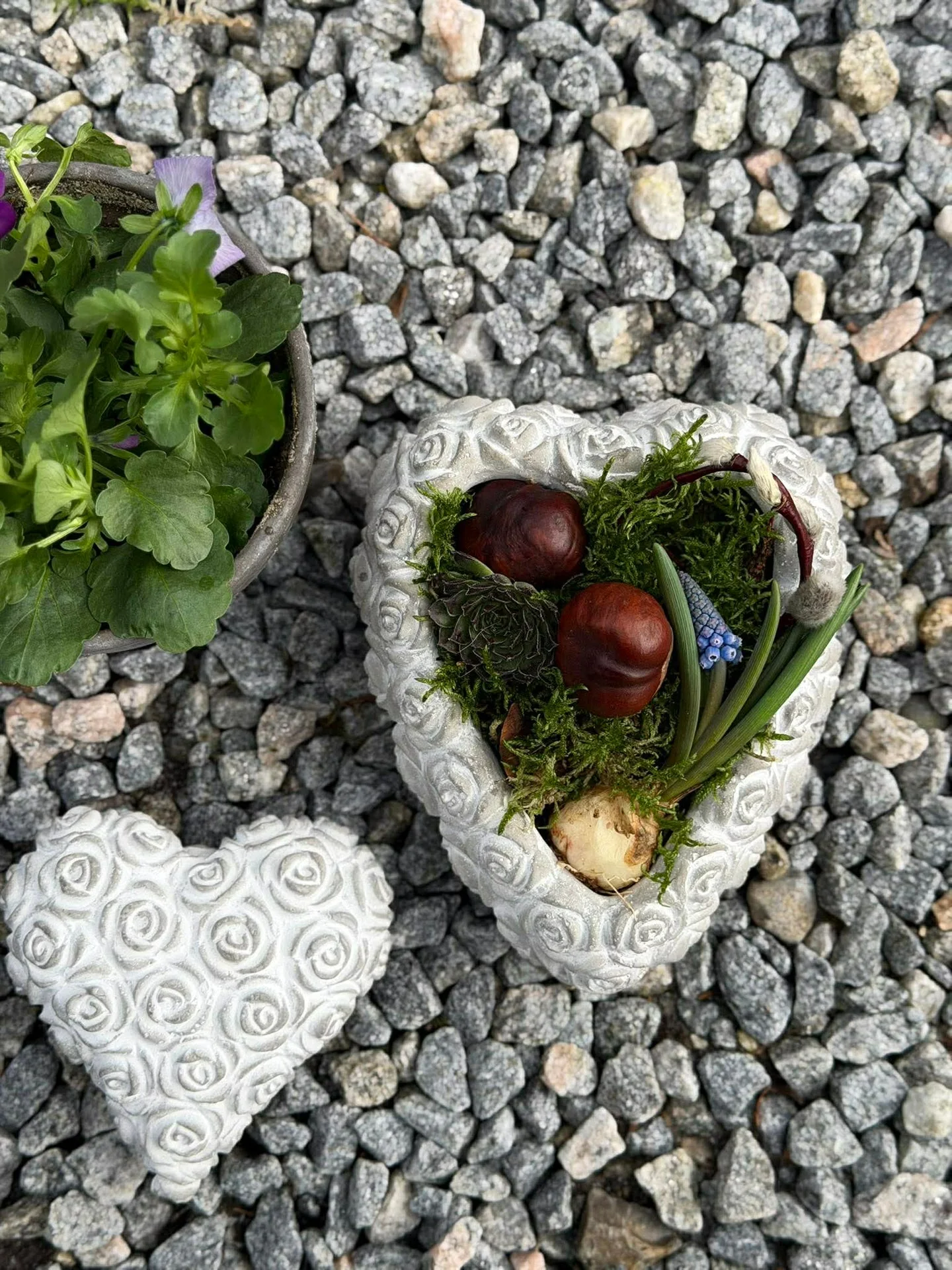 Vorschaubild 5