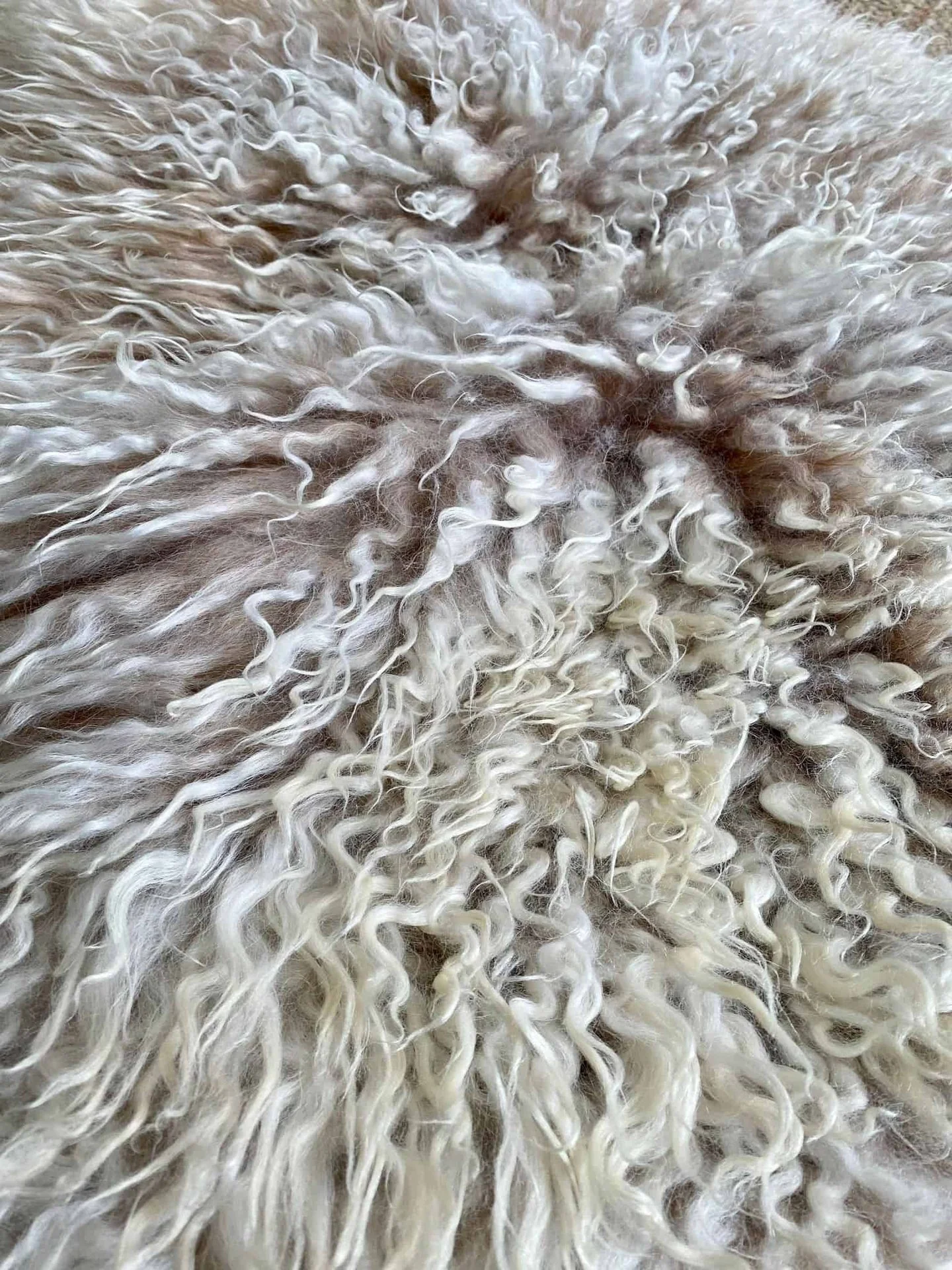Vorschaubild 4