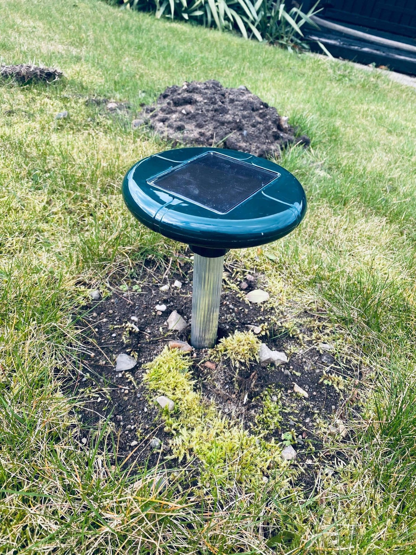 Vorschaubild 2