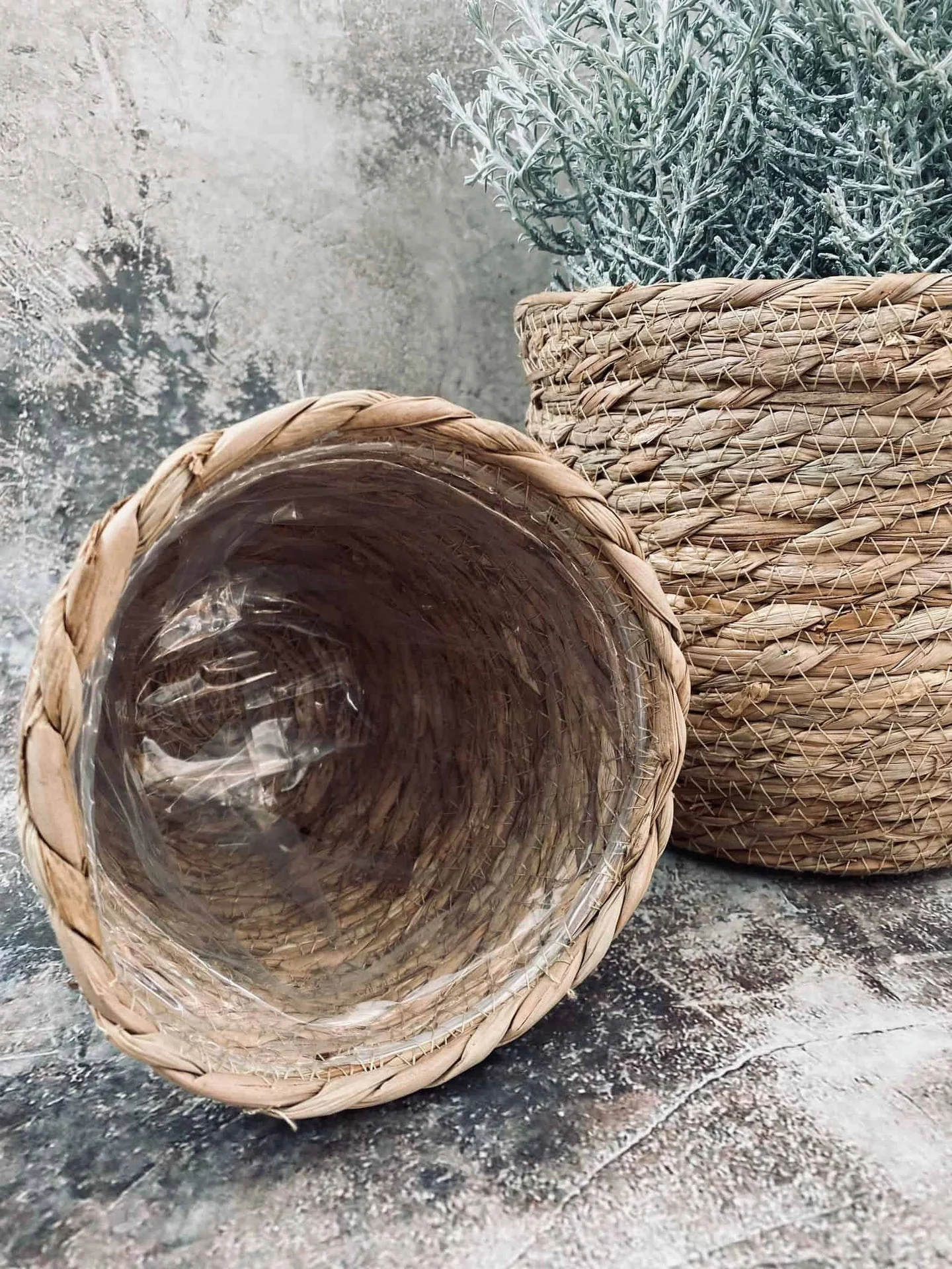 Vorschaubild 4