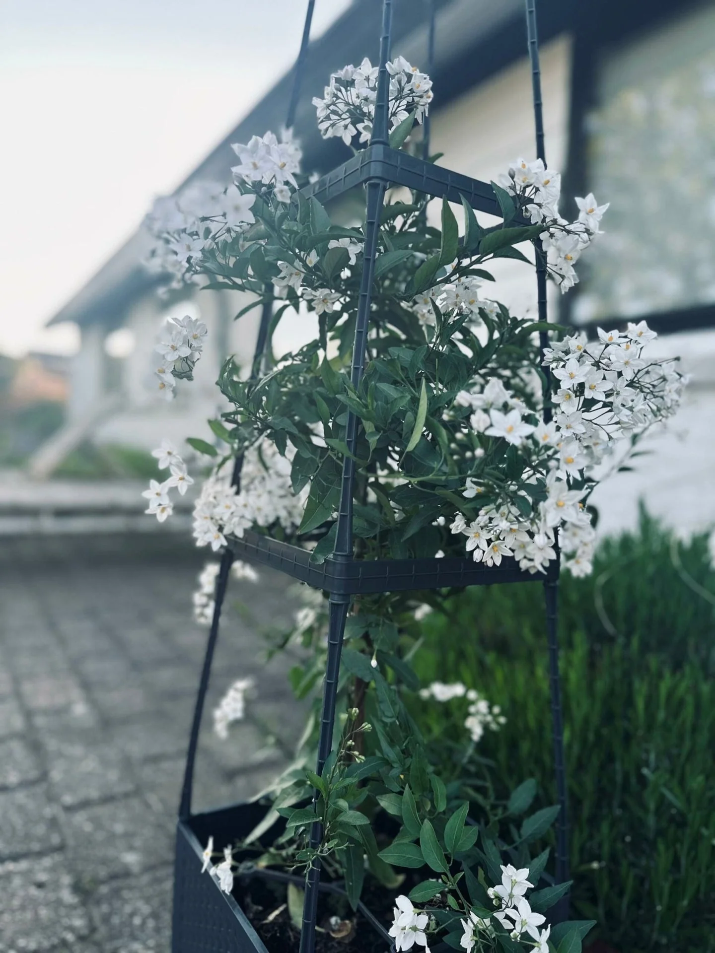 Vorschaubild 6