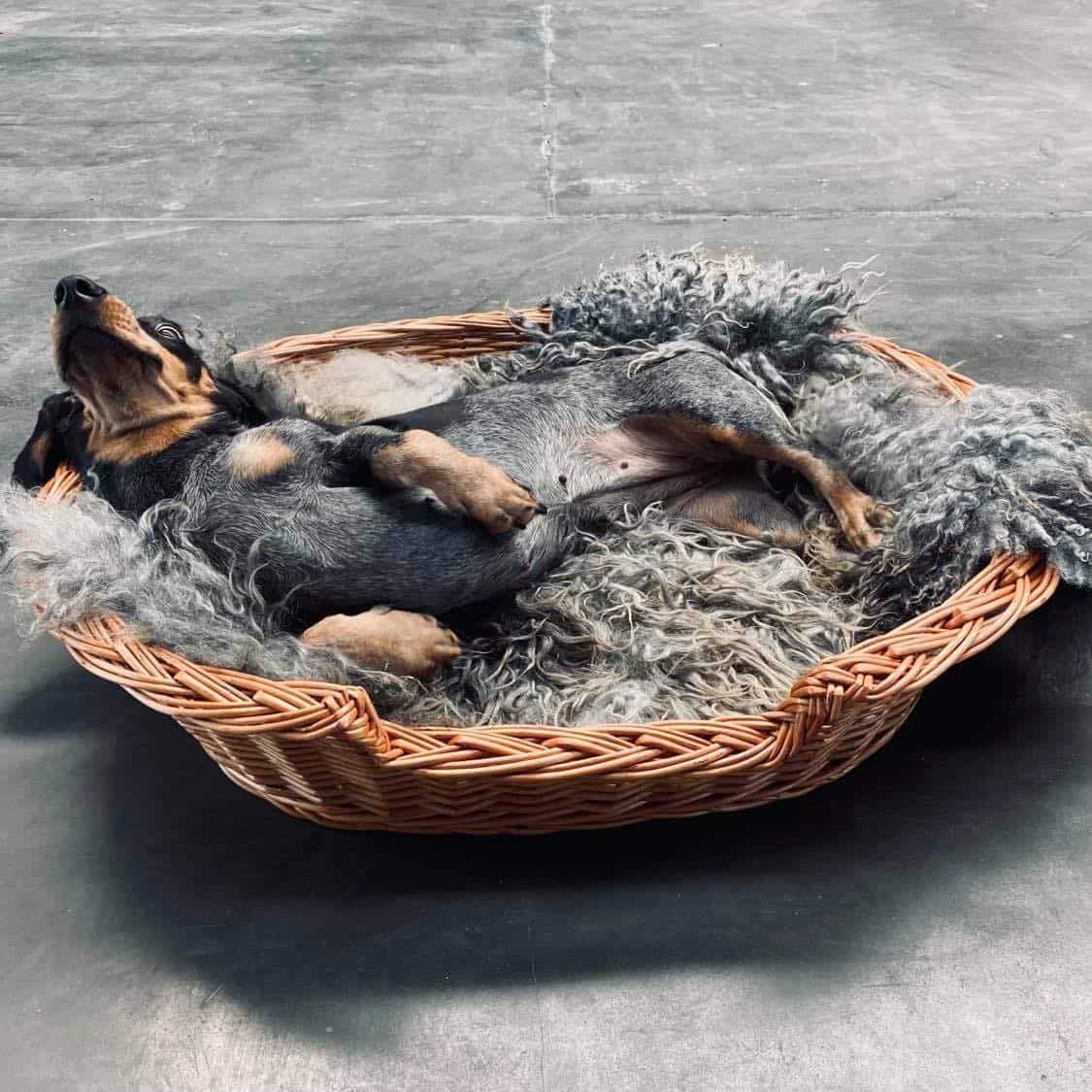 Vorschaubild 2
