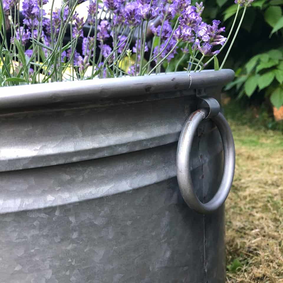 Vorschaubild 5