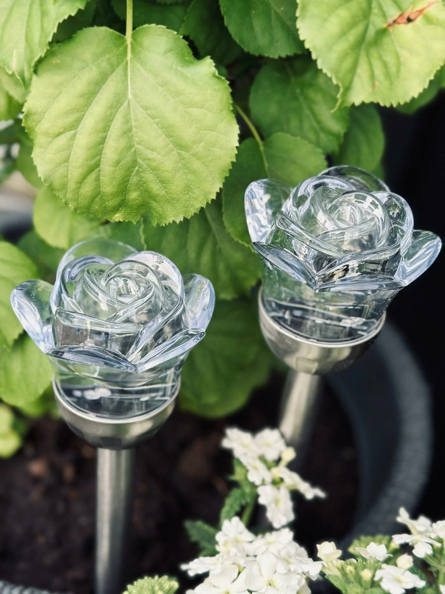 Vorschaubild 7