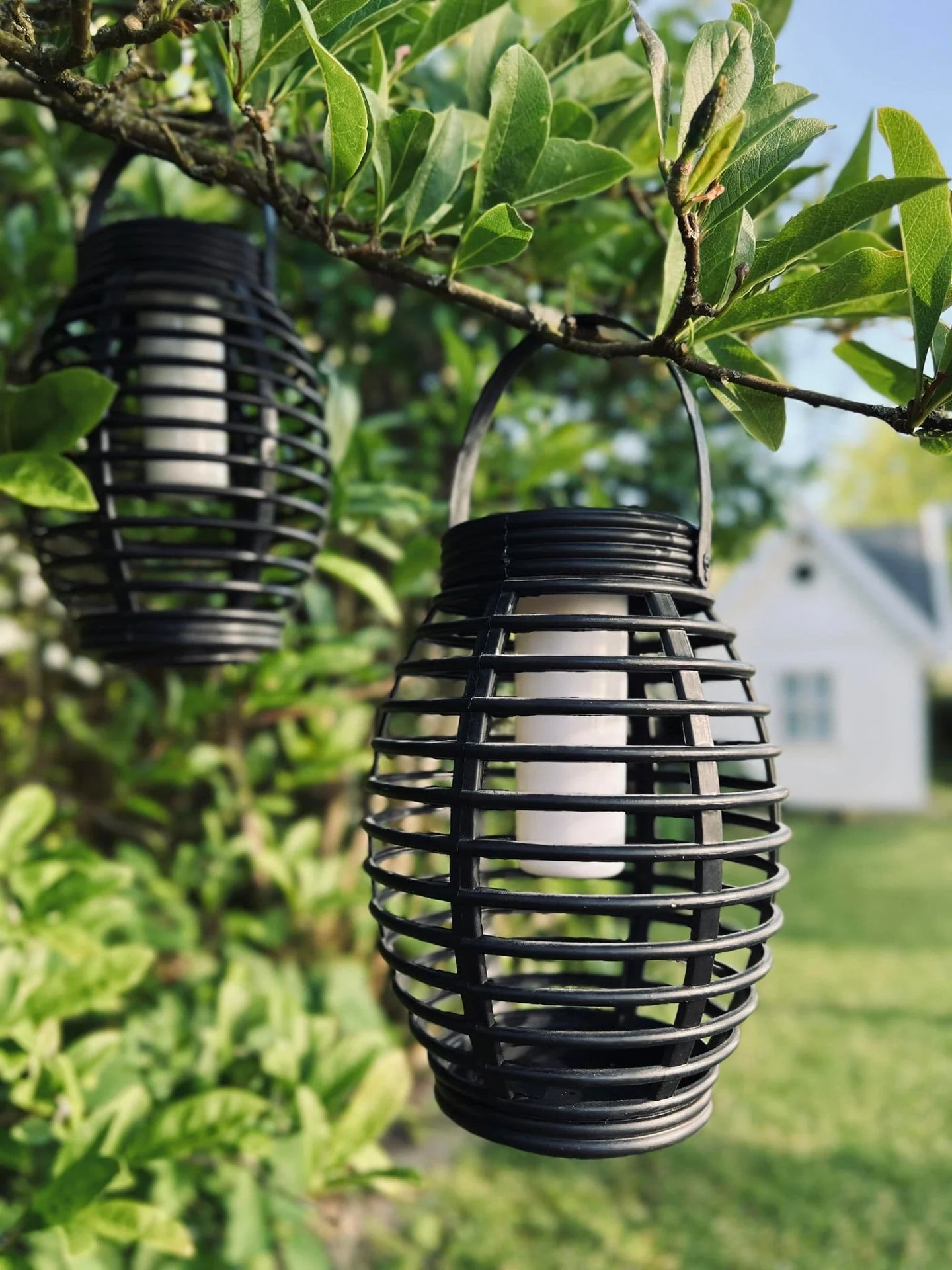 Vorschaubild 5