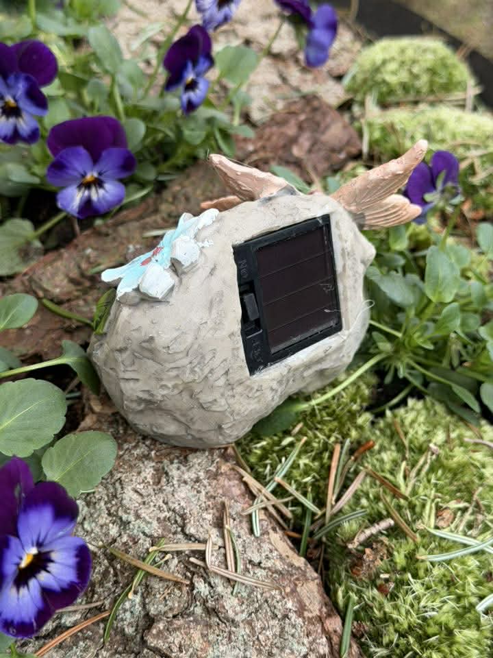 Vorschaubild 4