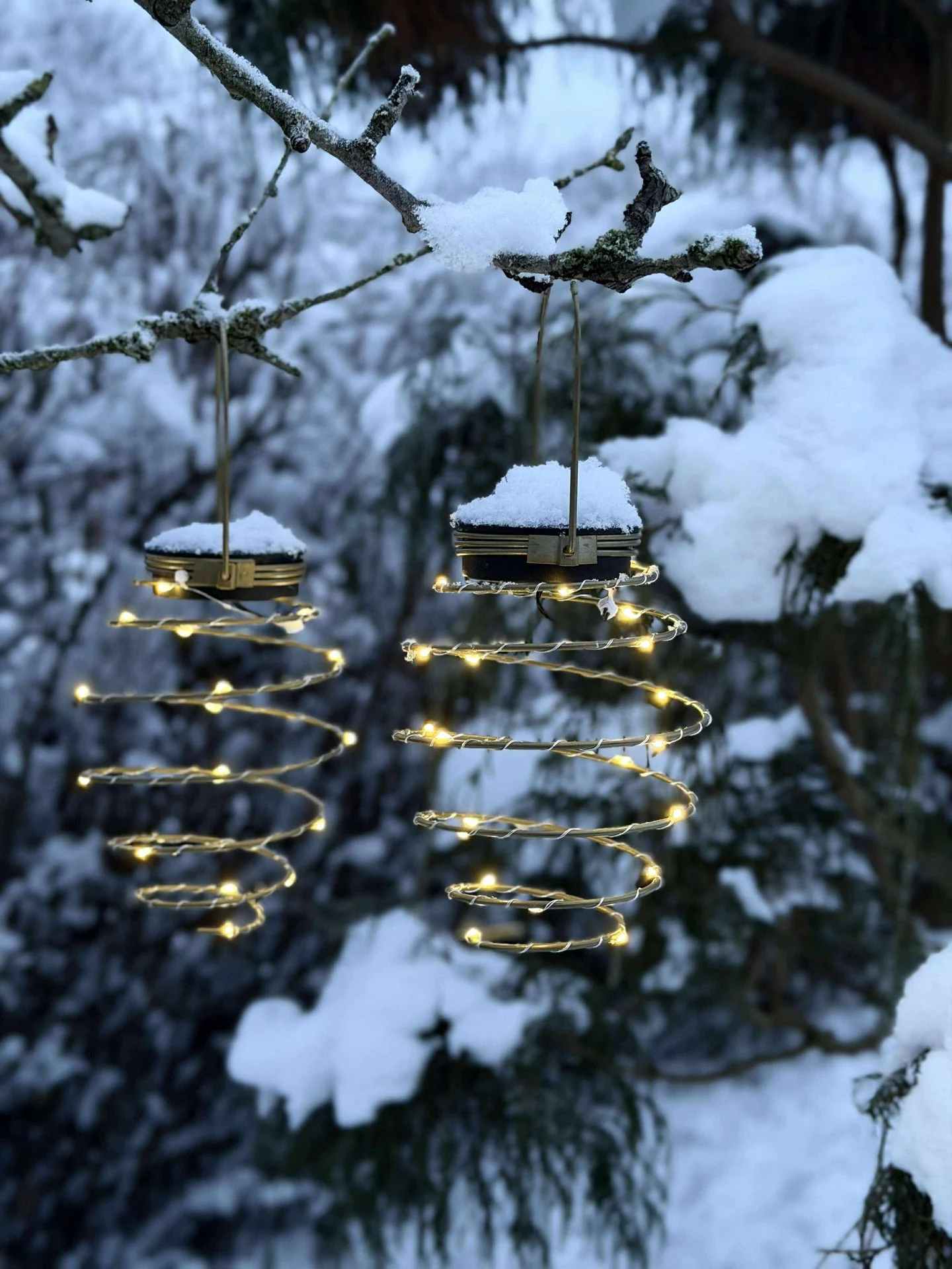 Vorschaubild 11