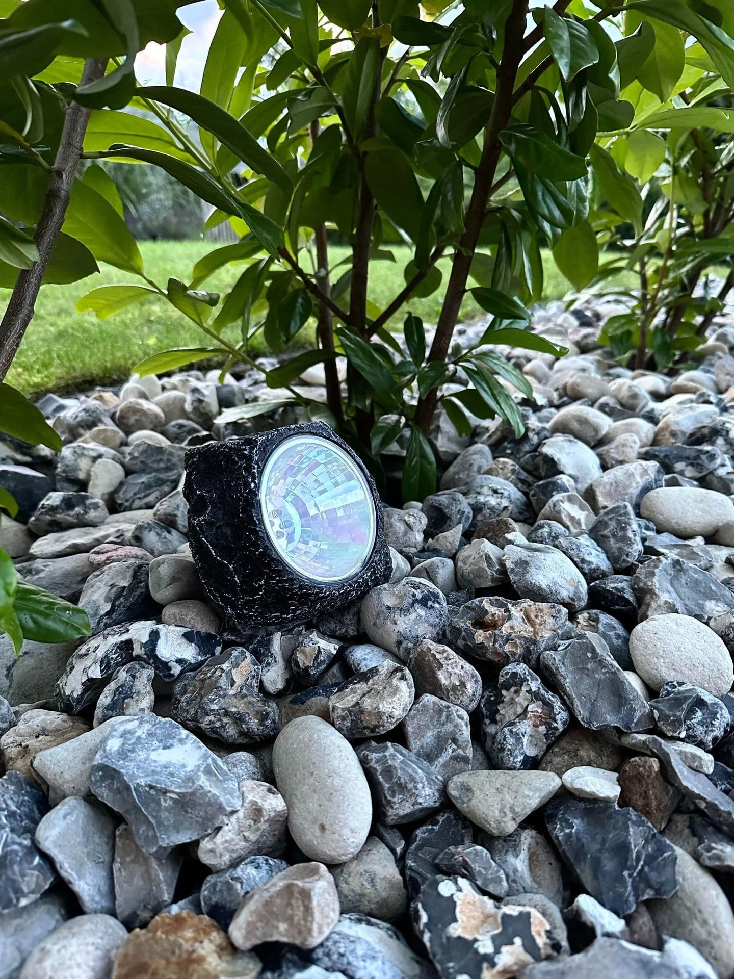 Vorschaubild 2