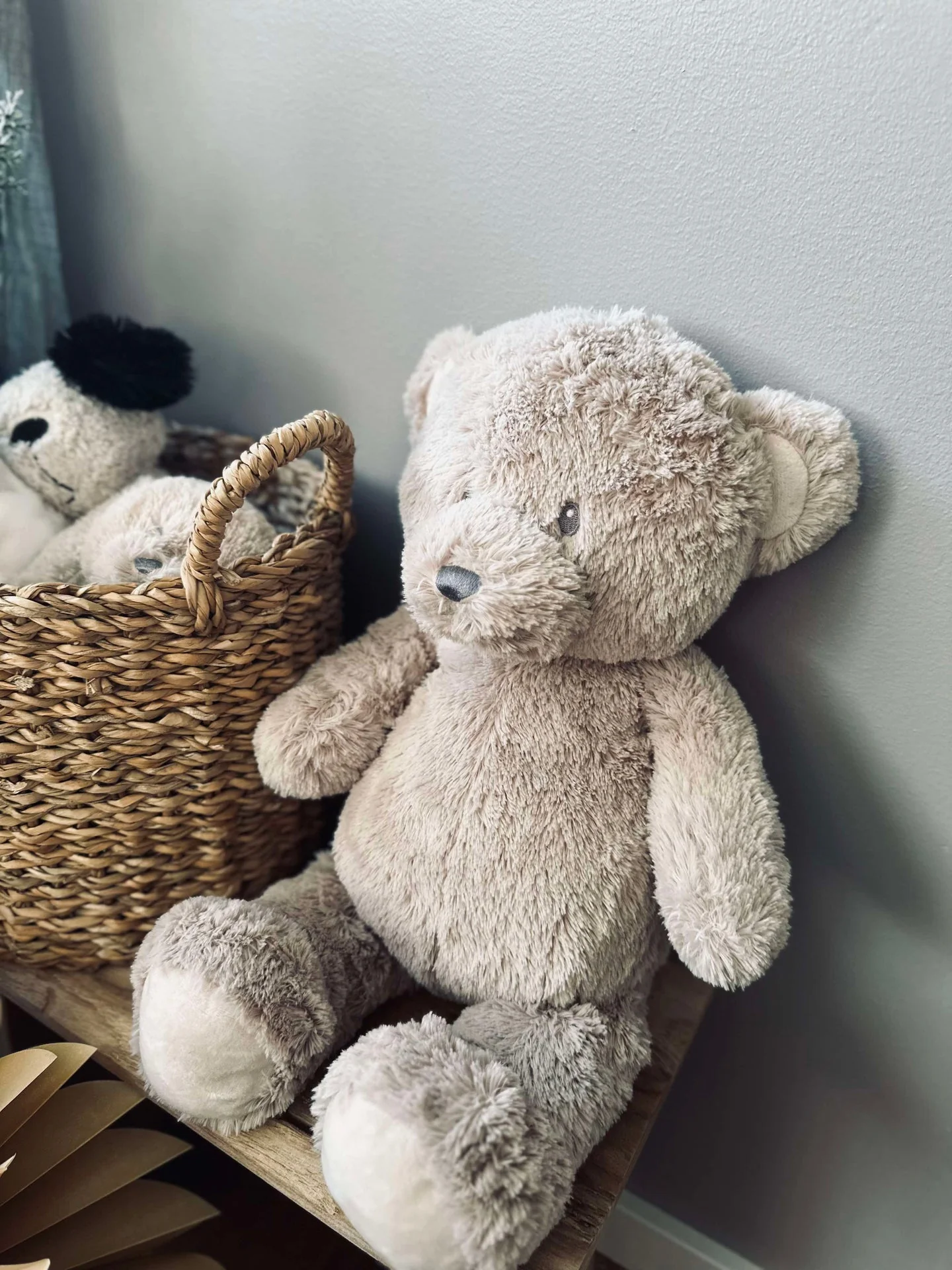 Vorschaubild 5