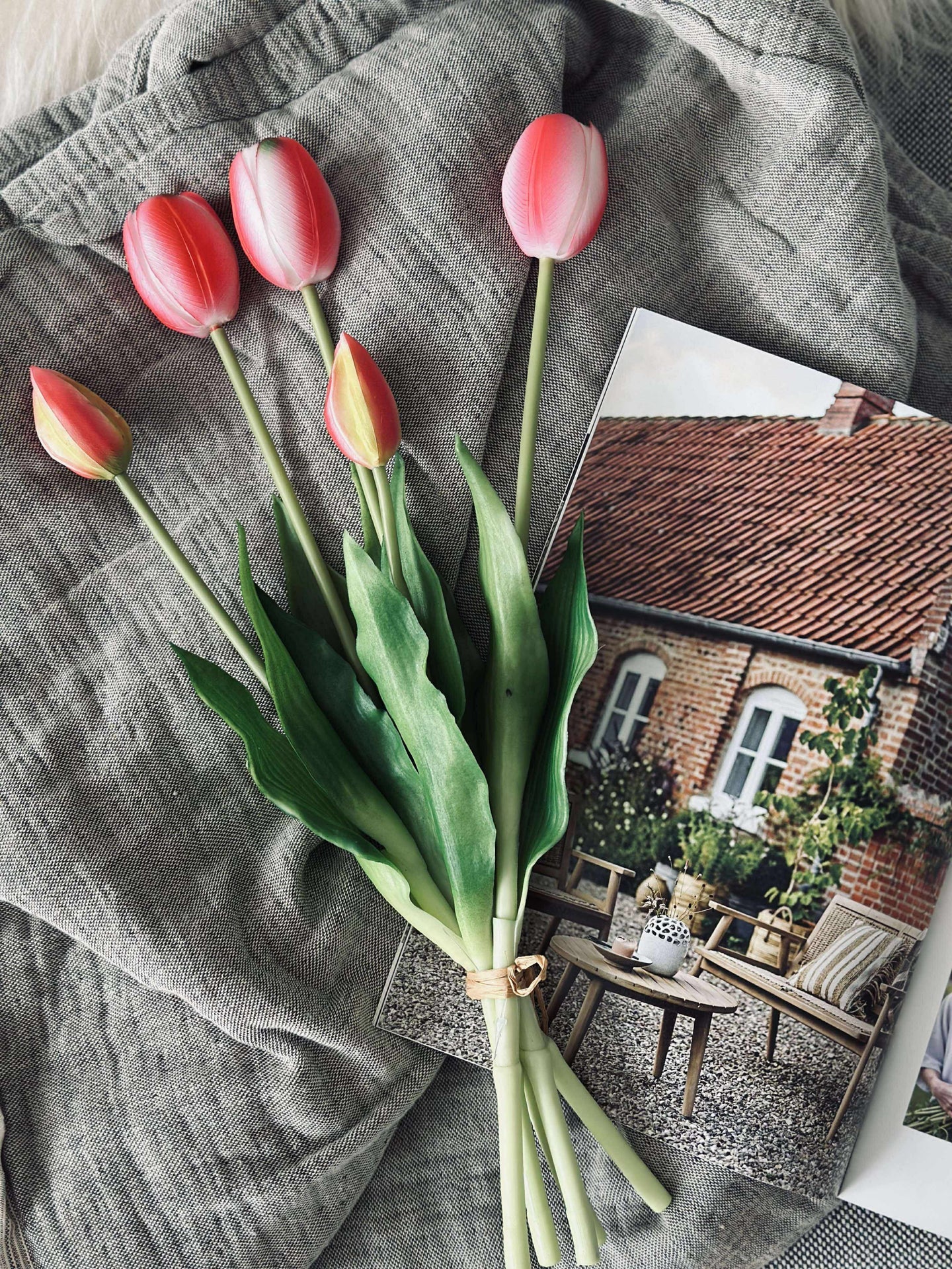 Vorschaubild 8