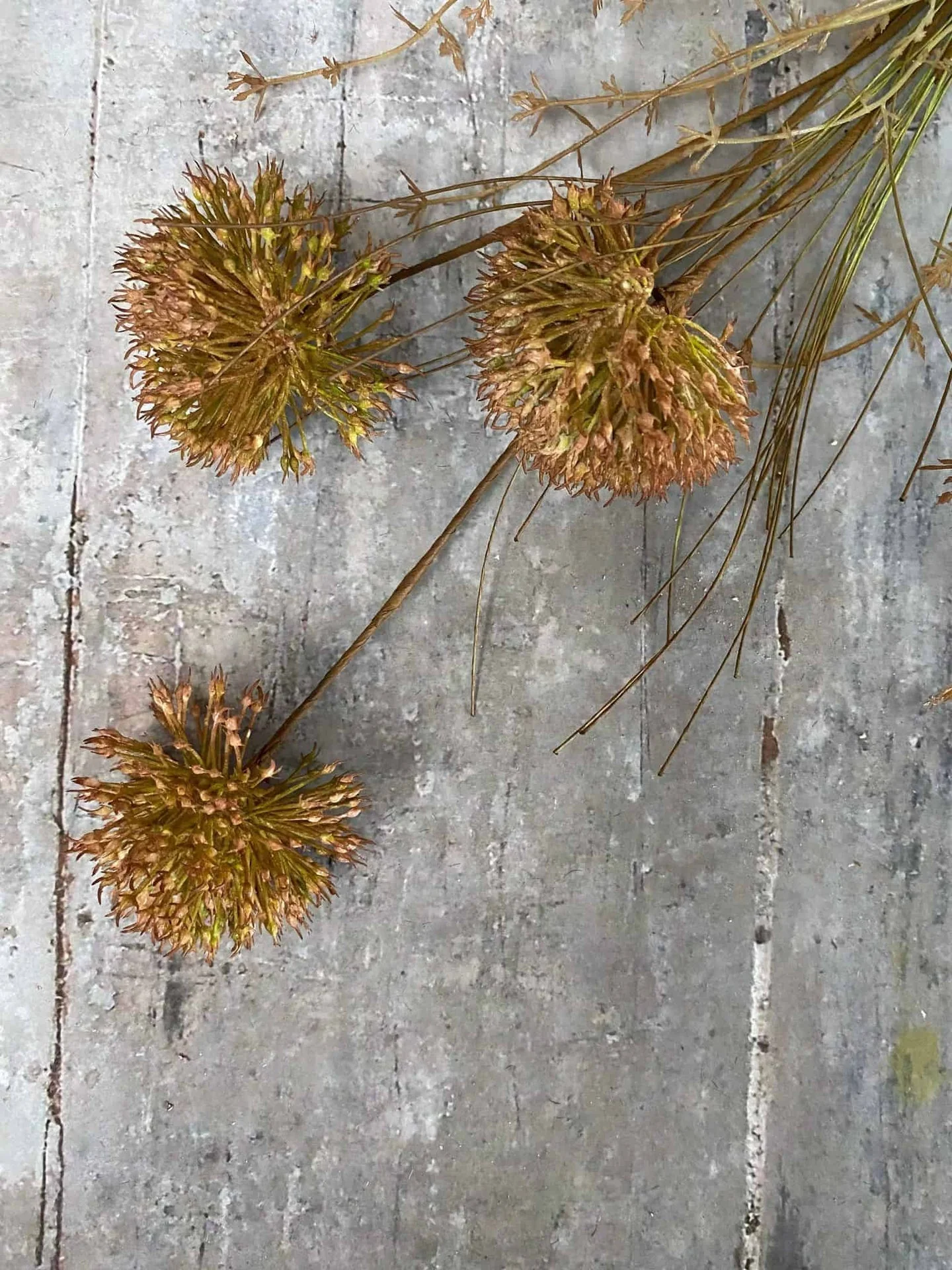 Vorschaubild 5