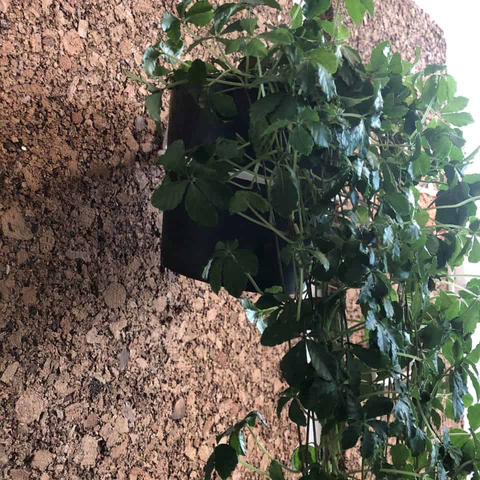 Vorschaubild 4
